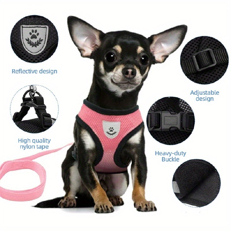 Comfortable Mesh Dog Harness & Leash Set - Breathable, Reflective, Adjustable for Safe Walking - Perfect for Puppies and Small Dogs