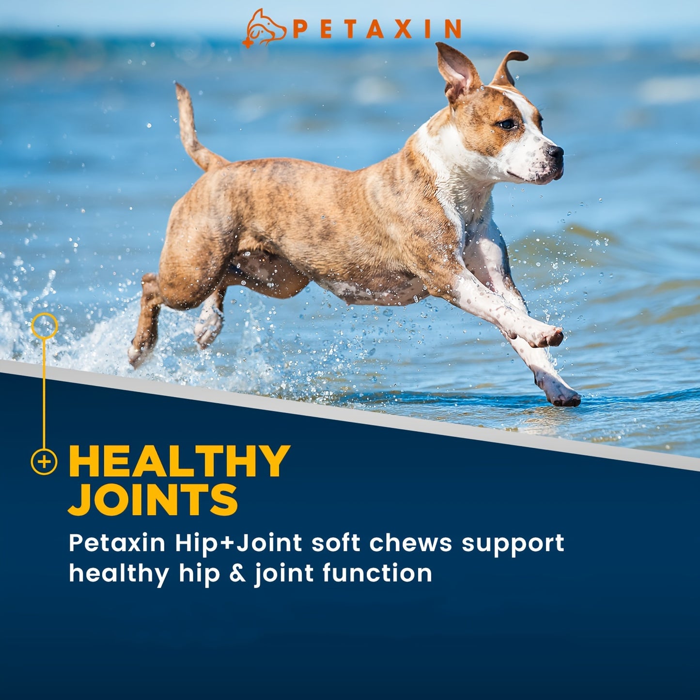 Petaxin Glucosamine for Dogs - Advanced Hip and Joint Supplement for Dogs, Healthy Hip And Joint, 240 Soft Chews