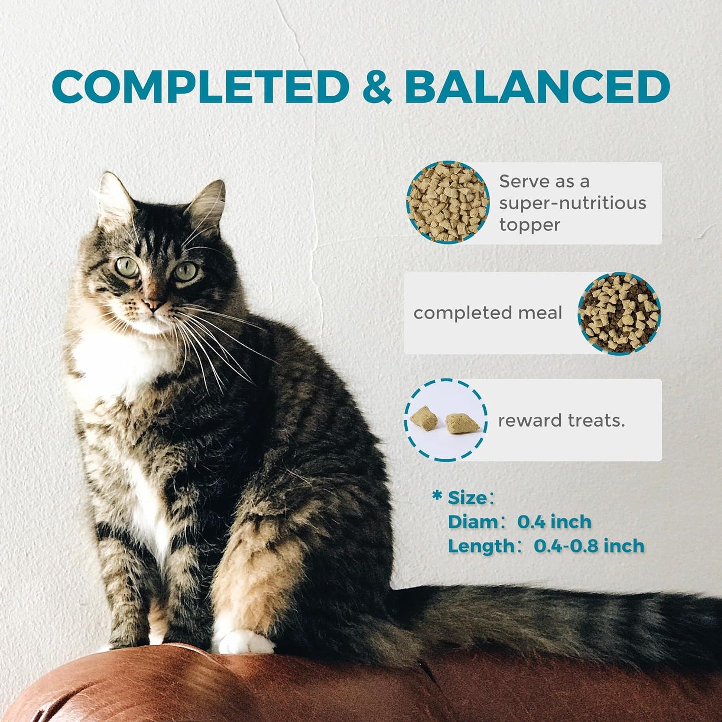 2 Pack Freeze Dried Raw Cat Food Lamb and Chicken Recipe 16 Ounce, USA Made High Protein Grain Free Cat Food for Complete Meal or Food Topper, Freeze Dried Raw Diet for Sensitive Digestion