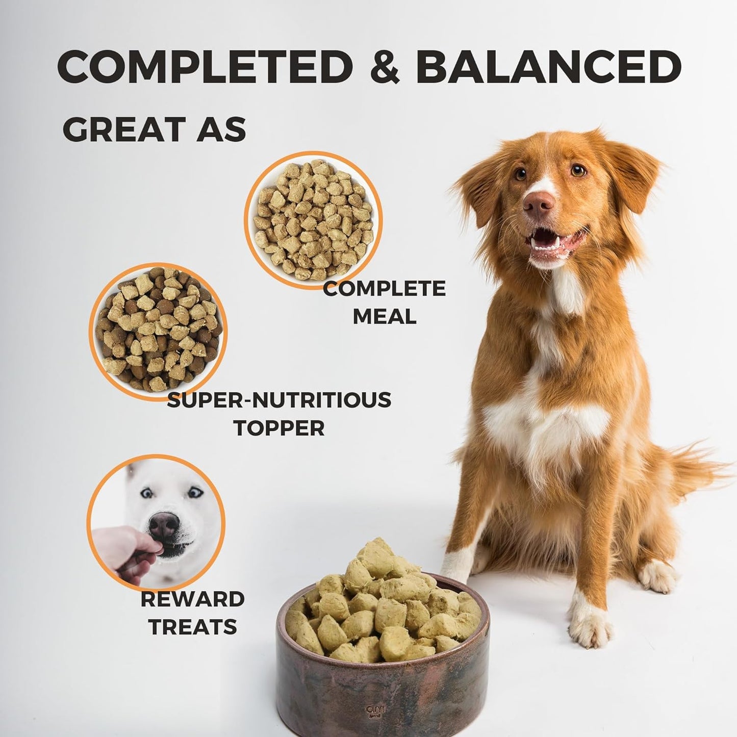 2 pack Freeze Dried Raw Dog Food Duck and Chicken Recipe 16 Ounce, USD Made Grain Free High Protein Dog Food for Complete Meal or Food Topper, Freeze Dried Raw Diet for Mobility Advance