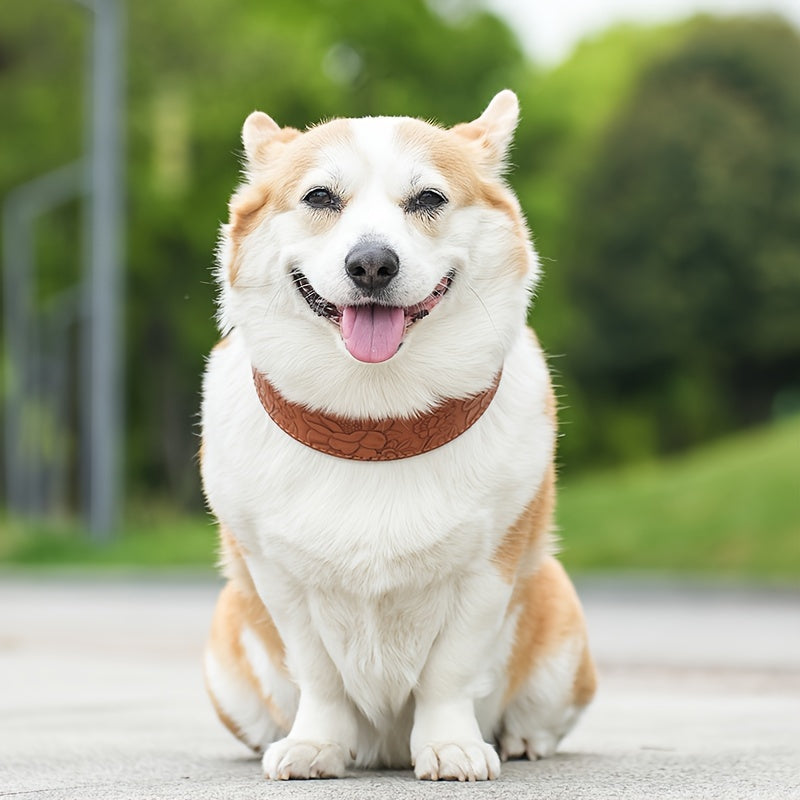 Premium Leather Dog Collar - Comfort-Fit, Rust-Resistant Buckle, Easy Clean - Stylish for Puppies to Midsize Dogs