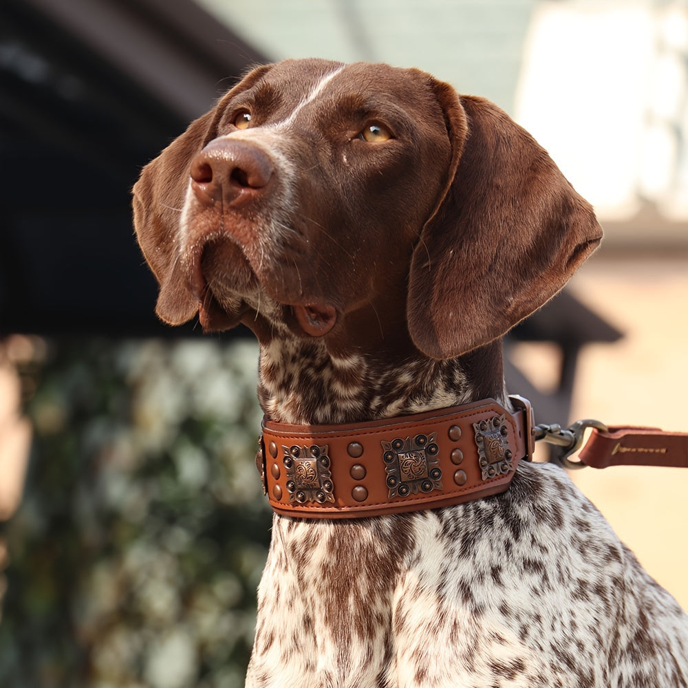 Heavy Duty Studded Leather Dog Collar for Medium and Large Dogs - Durable and Comfortable