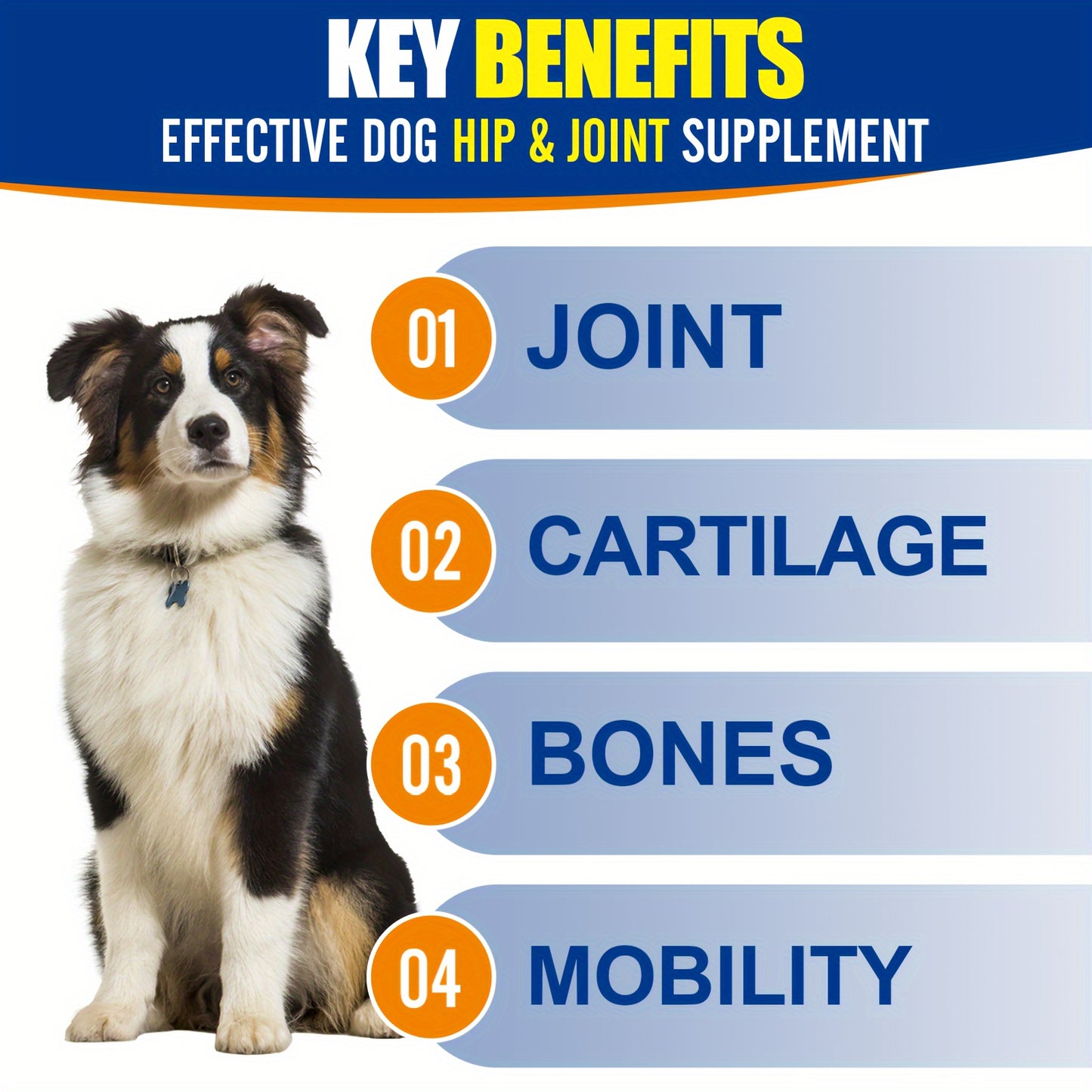 10oz Hip & Joint Supplement For Dogs, Healthy Hip And Joint, Bone And Muscle, Mobility And Flexibility, Advanced Dog Bone Chews, Dog Food, All Natural Ingredients, Suitable For All Dogs, 120 Chews, Chicken Flavor