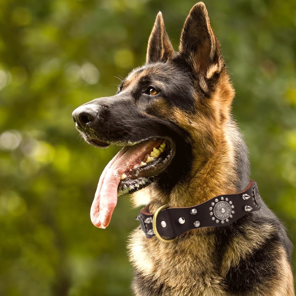 Genuine Leather Dog Collar, Spiked Studded Dog Neck Collar Durable Dog Rivet Collar With Alloy Buckle