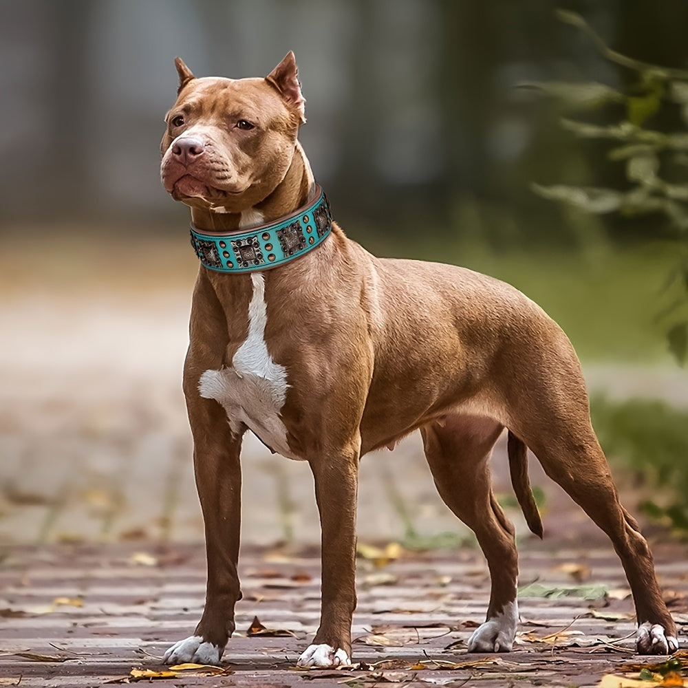 Heavy Duty Studded Leather Dog Collar for Medium and Large Dogs - Durable and Comfortable